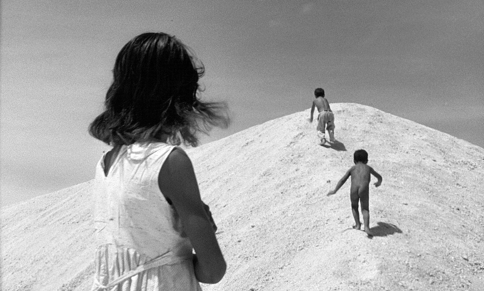 Araya – Milestone Films