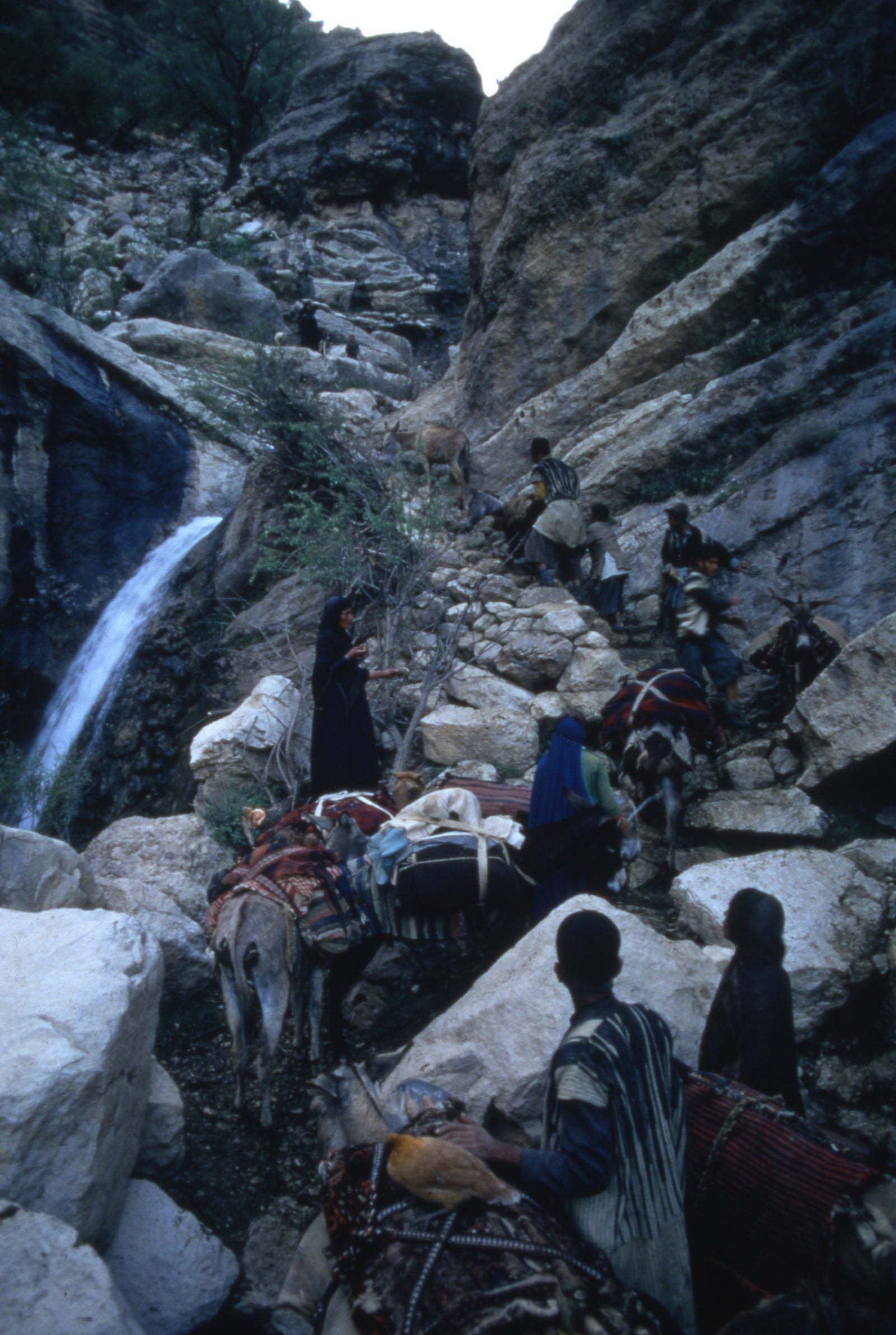 People of the Wind – Milestone Films